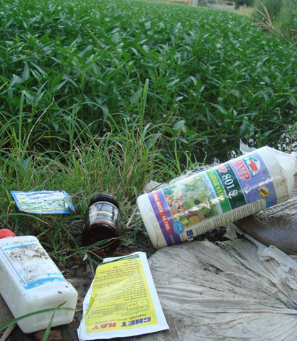 Kinh hoàng rau muống "tắm" hóa chất, dầu nhớt  4