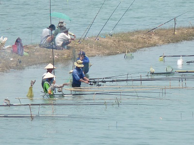 Lỗi thuộc về ai? 2