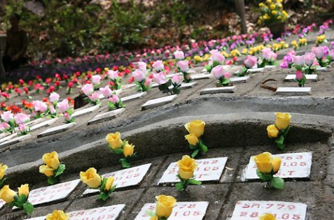 Ấn tượng với sự “dấn thân” và “lệch pha” 1 Ấn tượng với sự “dấn thân” và “lệch pha” 1