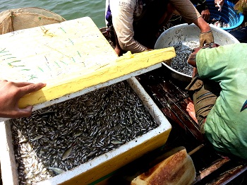 Lỗi thuộc về ai? 3 Lỗi thuộc về ai? 3