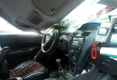Cây cổ thụ gãy đè taxi, tài xế thoát chết 2