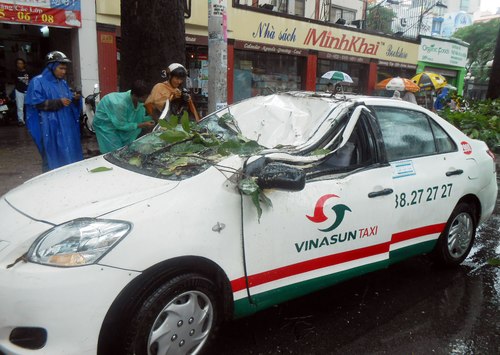Cây cổ thụ gãy đè taxi, tài xế thoát chết 1