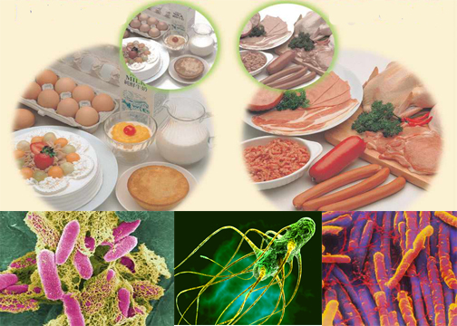 Bí quyết tránh ngộ độc thực phẩm 1 Bí quyết tránh ngộ độc thực phẩm 1