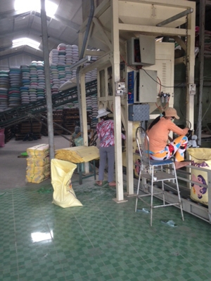 Hóa chất độc hại phù phép gạo mốc 2