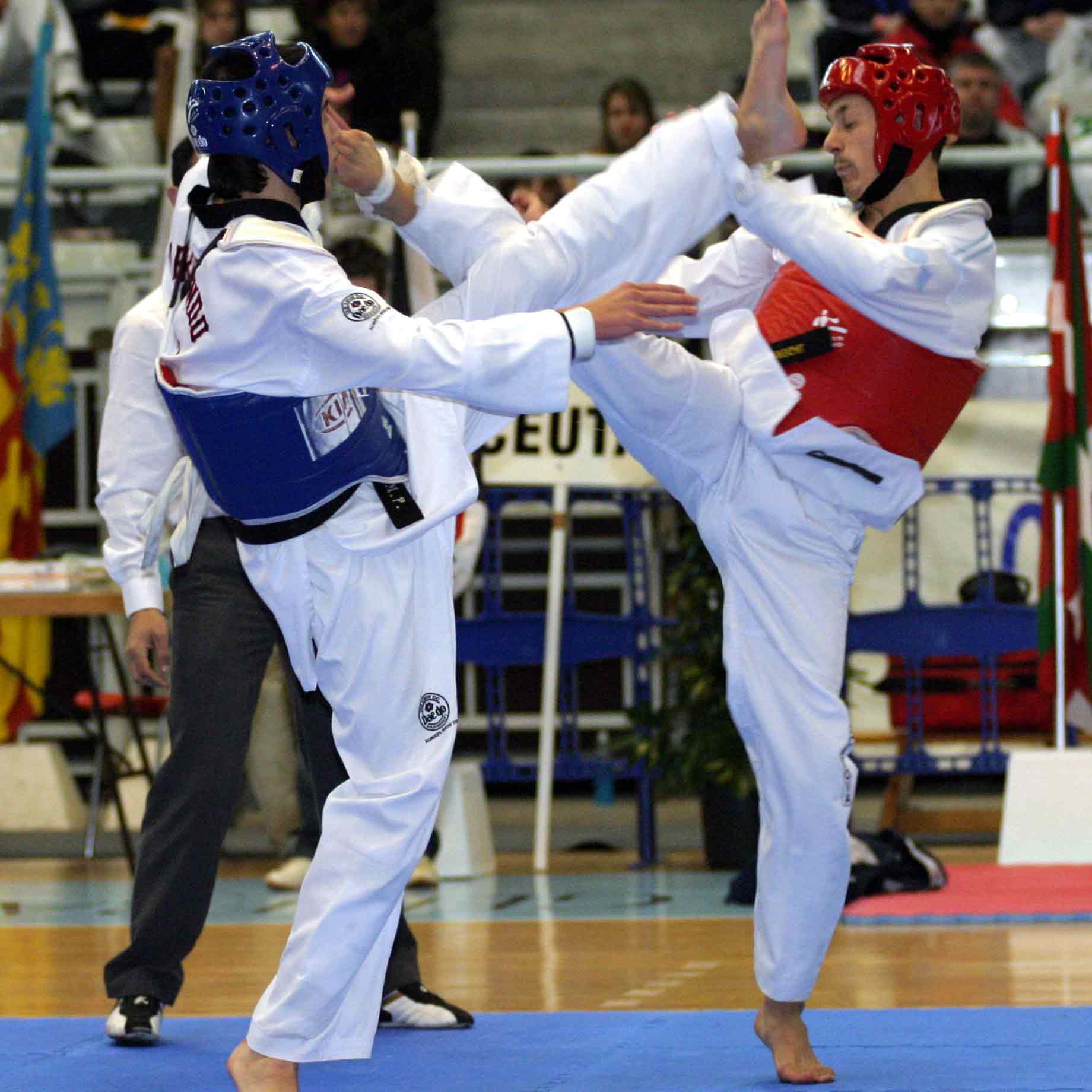 Vì sao taekwondo ngày càng sa sút? 1