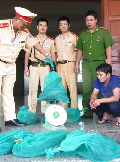 Ngồi cùng đàn rắn hổ mang chúa, hành khách tá hỏa 1