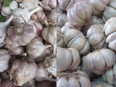5 loại thực phẩm tốt cho sức khỏe trong mùa thu 1