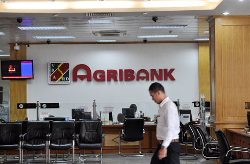 Công bố kết luận thanh tra Agribank, EVN 1