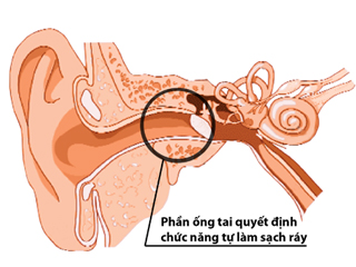 Lợi ích của những điều “tế nhị” 1