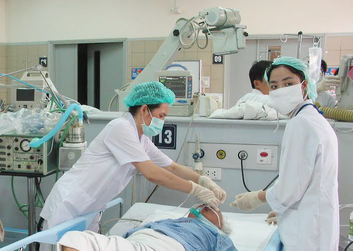 Sốc phản vệ vì ăn... rươi 2 Sốc phản vệ vì ăn... rươi 2
