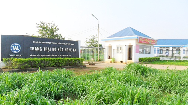Trang trại bò sữa của Vinamilk - Tiên phong đạt chứng nhận quốc tế ISO 9001: 2008 1