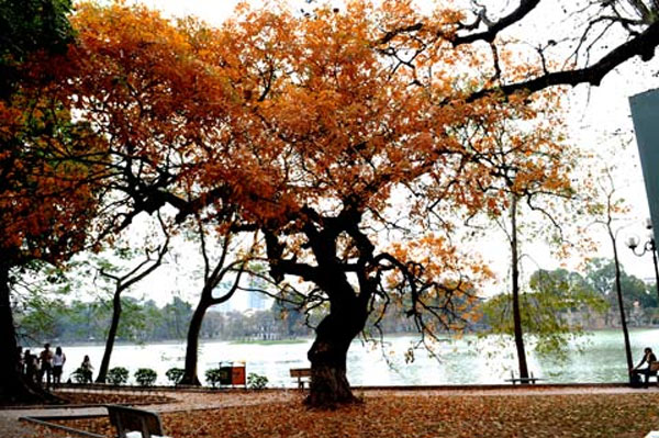 Cảm xúc mùa thu 1