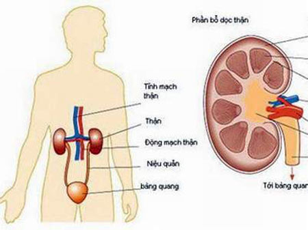 Nhận biết viêm cầu thận mạn tính 2