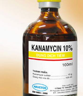 Thận trọng với độc tính của kháng sinh kanamycin            2