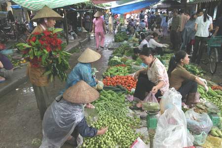 Nguy cơ gây mất ATTP trong rau là dư lượng thuốc bảo vệ thực vật 1