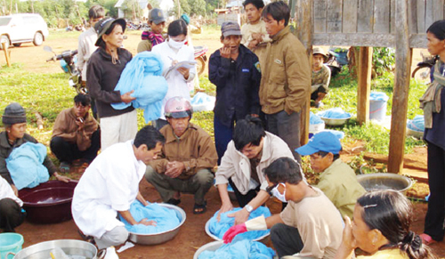 Nhiều lao động tự do có nguy cơ mắc sốt rét 1 Nhiều lao động tự do có nguy cơ mắc sốt rét 1