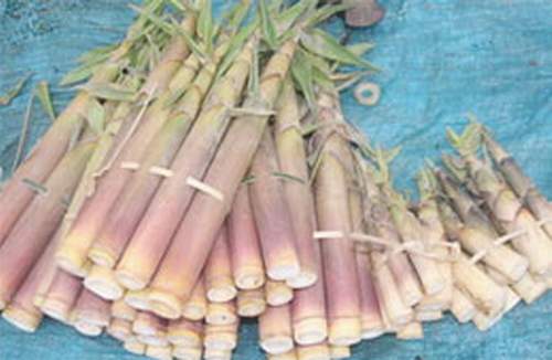 Xử trí thông thường khi bị ngộ độc thực phẩm 1 Xử trí thông thường khi bị ngộ độc thực phẩm 1