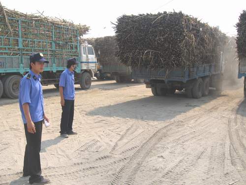Chính quyền địa phương bất lực? 1 Chính quyền địa phương bất lực? 1
