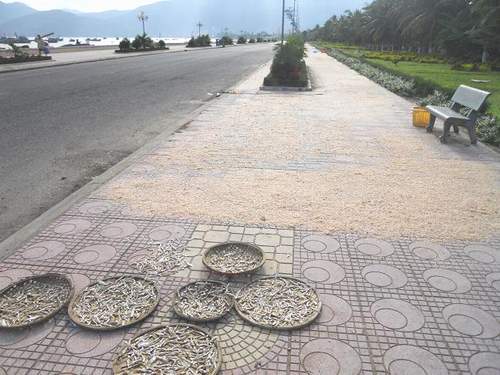 Chiếm dụng vỉa hè để phơi... hải sản 1 Chiếm dụng vỉa hè để phơi... hải sản 1