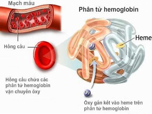 Thiếu sắt, trẻ yếu! 3