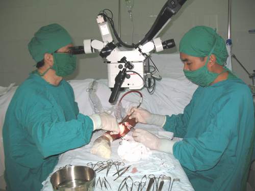 Đầu tư cho con người luôn cần đi trước 1