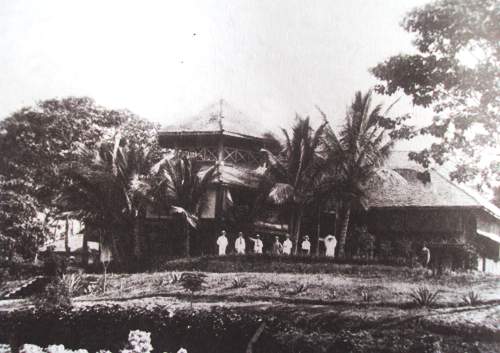 Nhớ bóng cây xưa 1