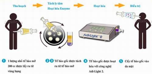  Tế bào gốc và ứng dụng trong thẩm mỹ 1