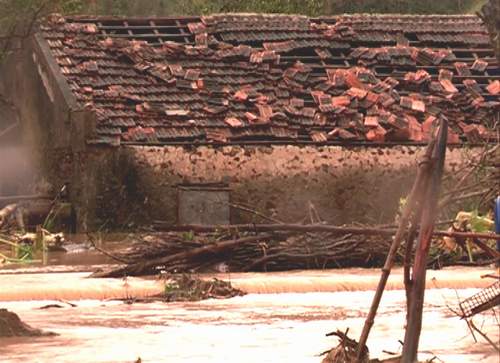 Xót lòng quê nghèo sau bão dữ! 5 Xót lòng quê nghèo sau bão dữ! 5