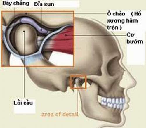 Phòng bệnh viêm khớp thái dương hàm 1