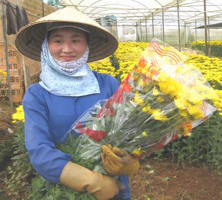 Thái Phiên - Làng hoa, làng du lịch 2