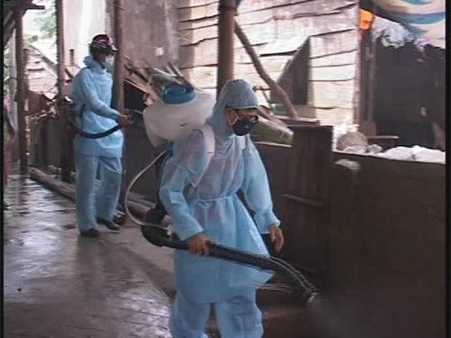 Tập trung nguồn lực khắc phục hậu quả bão số 11 1 Tập trung nguồn lực khắc phục hậu quả bão số 11 1