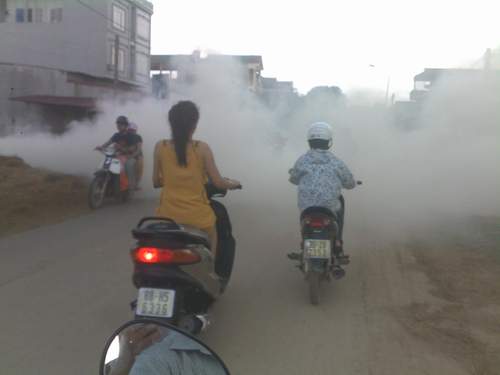 Khốn khổ vì khói! 1