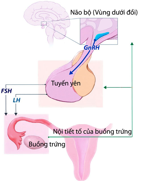 Cần xác định cho đúng hướng 1