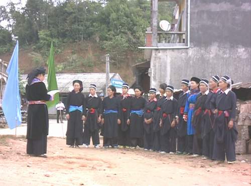 Hoa giữa đỉnh rừng 2