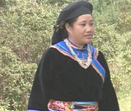 Hoa giữa đỉnh rừng 1