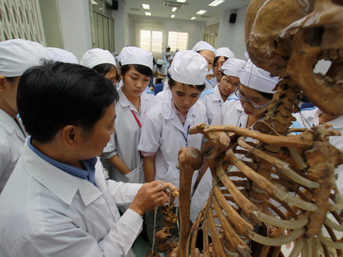 Một giờ học giải phẫu của sinh viên trường y.