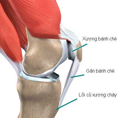 Phục hồi và chăm sóc bệnh nhân