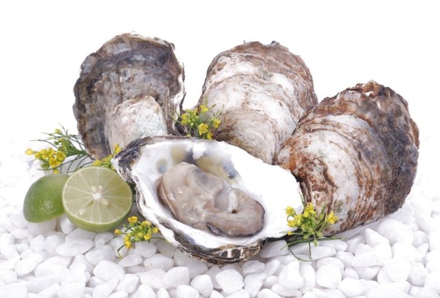 Vỏ hàu chữa mồ hôi trộm