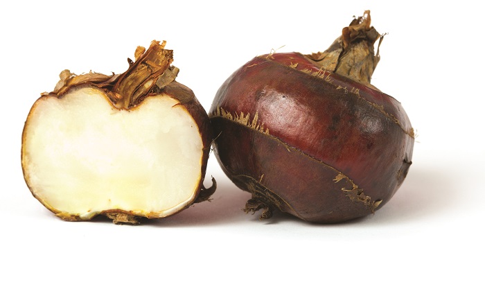 Củ năng (củ mã thầy) có tác dụng gì?- Ảnh 2. Những bài thuốc dùng củ năng: mát, tốt cho sức khỏe