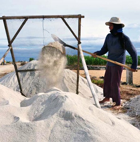 Công phu nhánh tỏi Lý Sơn