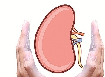 Bảo vệ thận khi dùng thuốc