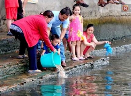 Mùa Vu Lan: Chim, cá phóng sinh đi vào... cửa tử