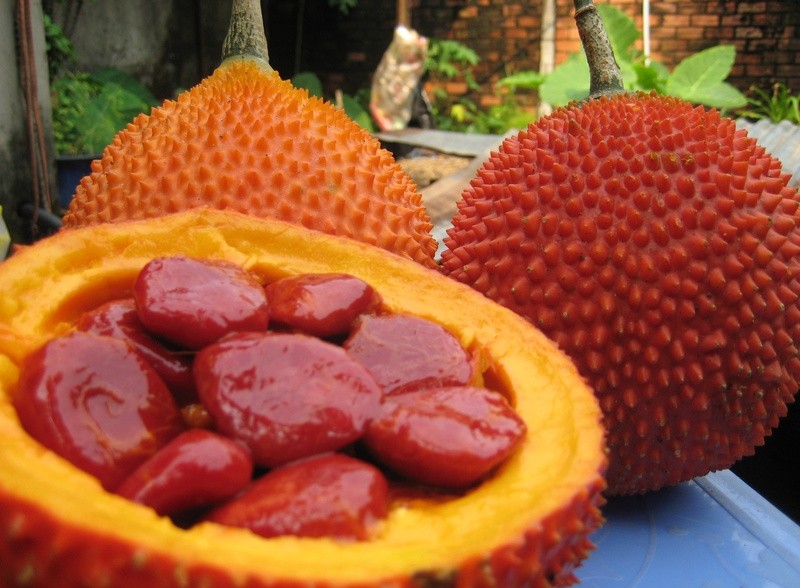 Bài thuốc quý từ loại hạt có độc- Ảnh 4. Thuốc hay dân gian trị viêm xoang chỉ từ 25 hạt gấc