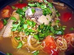Lươn vàng - Vị thuốc tăng cường trí nhớ