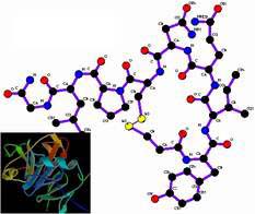 Nhìn nhận tích cực về oxytocin