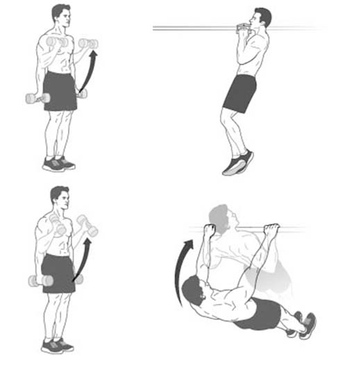 Tập luyện sức mạnh cho vai và tay