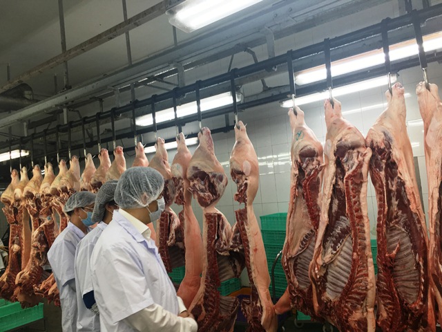 Kiểm tra An toàn thực phẩm Kiểm tra An toàn thực phẩm