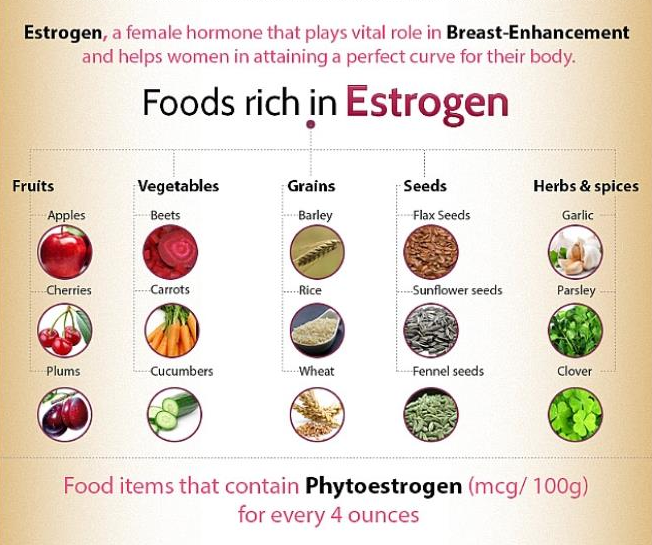 thực phẩm giàu estrogen làm đầy vòng ngực