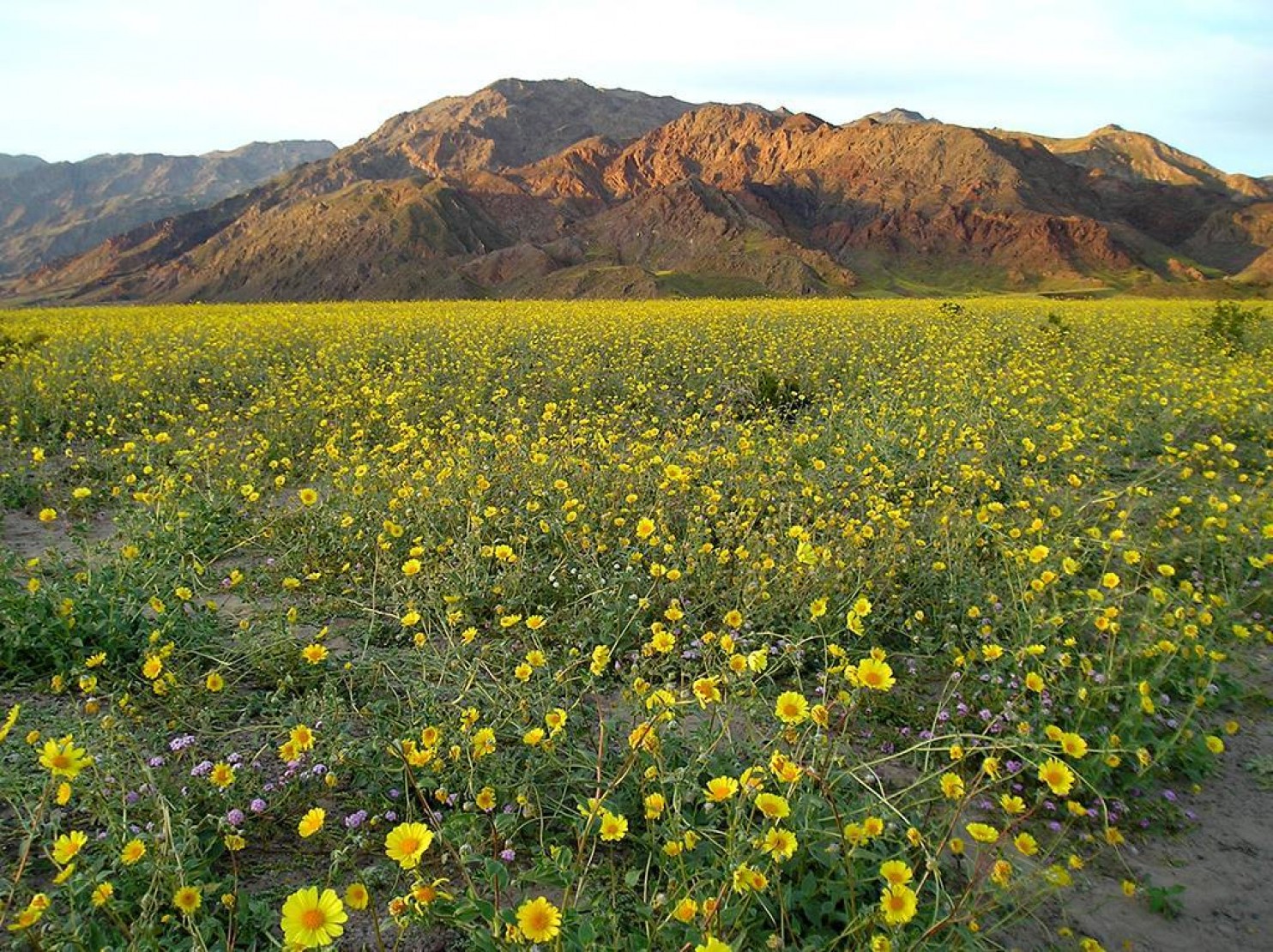 thung-lung-chet-no-hoa-Death-Valley2