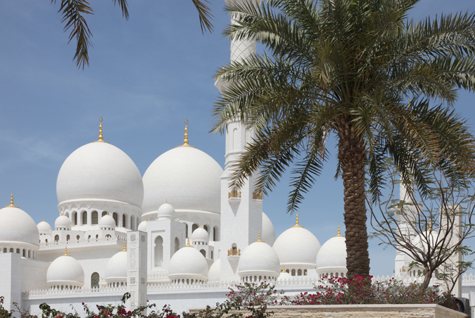 8-ky-quan-the-gioi-ve-kien-truc-8-Sheikh-Zayed-Grand-Mosque